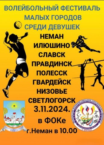 Волейбольный Фестиваль Малых городов среди девушек